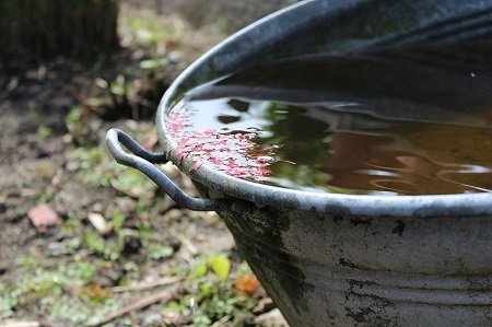 Regenwasser ist ein kostbares gut und sollte aufgefangen werden Regenwasser ist ein kostbares gut und sollte aufgefangen werden